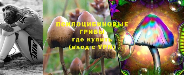 спайс Балабаново
