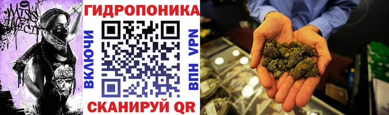 Каннабис MAZAR Баксан