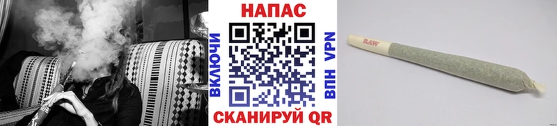 Конопля сатива Баксан
